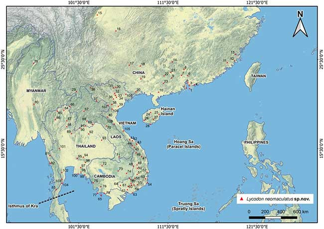 Rắn khuyết khoanh Đông Dương được phân bố tại khu vực miền đông nam Trung Quốc, đảo Hải Nam, Thái Lan, Myanmar, Lào, Campuchia và Việt Nam. Tại Việt Nam, loài rắn này được phân bố rộng trên khắp cả nước.