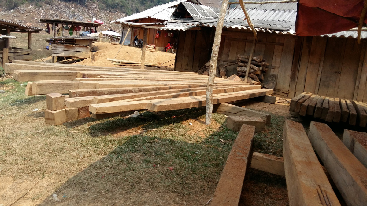 Sơn La: Tận mắt xem lâm tặc phá rừng Chiềng Khừa - Hình 3 Son La: Tan mat xem lam tac pha rung Chieng Khua-Hinh-3