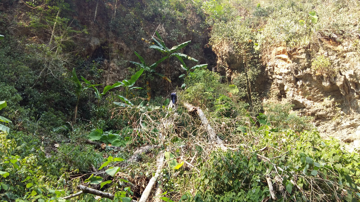 Sơn La: Tận mắt xem lâm tặc phá rừng Chiềng Khừa - Hình 4 Son La: Tan mat xem lam tac pha rung Chieng Khua-Hinh-4