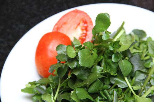 Nói cải xoong dễ nhiễm sán là cũng phù hợp, bởi cải thường được trồng ở môi trường nước, nơi tù đọng. Ảnh minh họa.