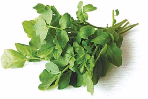 Chua hoi mieng bang rau cai xoong