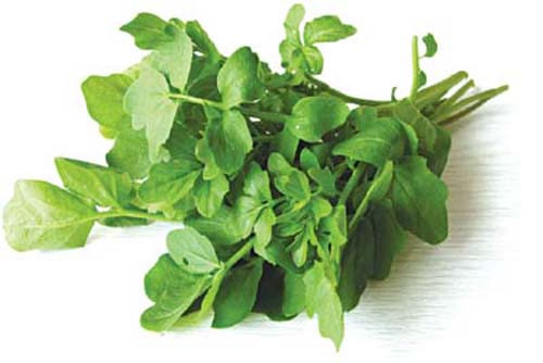 Chua hoi mieng bang rau cai xoong