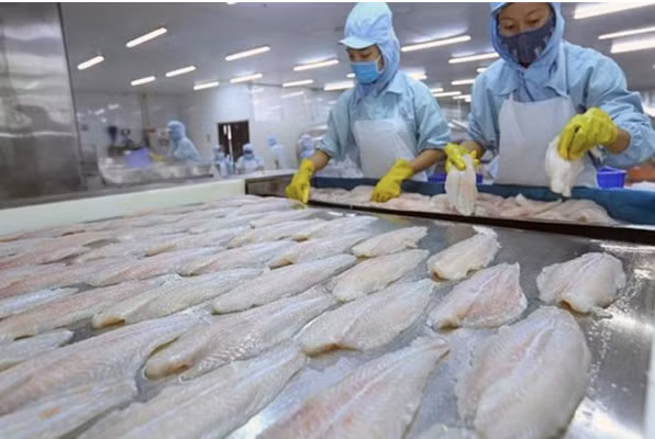 Chứng khoán ngày 21/9: TRA trung lập, ANV và DGC được khuyến nghị mua Chung khoan ngay 21/9: TRA trung lap, ANV va DGC duoc khuyen nghi mua