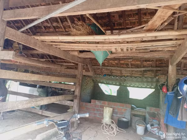  Tá hỏa phát hiện người đàn ông trong tư thế treo cổ tại chuồng trâu: Nạn nhân là ông Đoàn Xuân H. (SN 1970), trú tại xóm Vân Nam, xã Nghĩa Hợp. Theo đó, khoảng 5h30 ngày 27/7, bà N.T.H (vợ ông H.) thức dậy không thấy chồng đâu nên đã đi tìm. Khi bà ra phía chuồng trâu sau nhà thì bàng hoàng phát hiện ông H. đã chết trong tư thế treo cổ. Hiện vụ việc đang được điều tra là rõ.