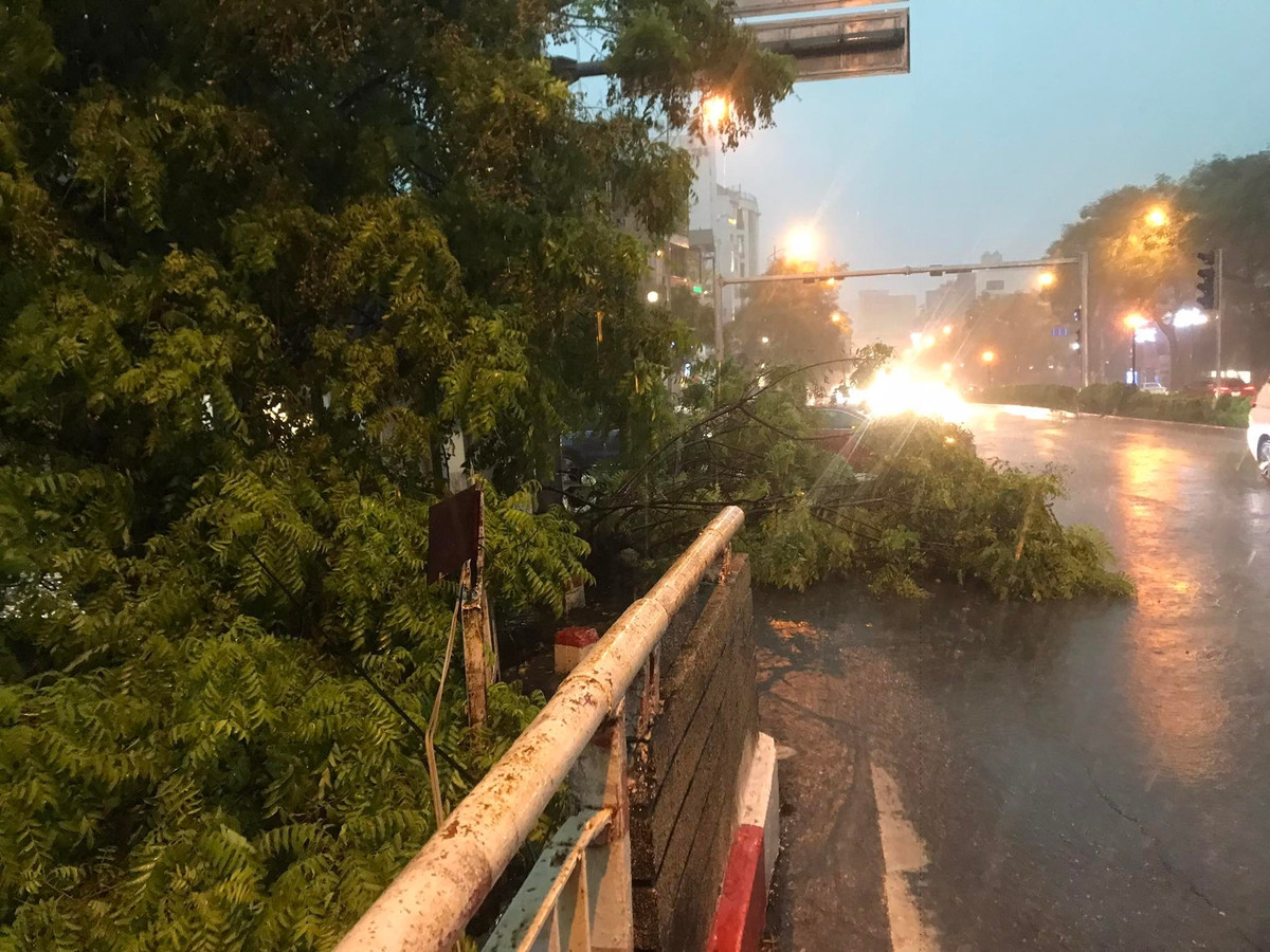 Mưa lớn kèm gió giật mạnh khiến cho cây cối ven đường bị gãy, đổ rạp xuống đường.