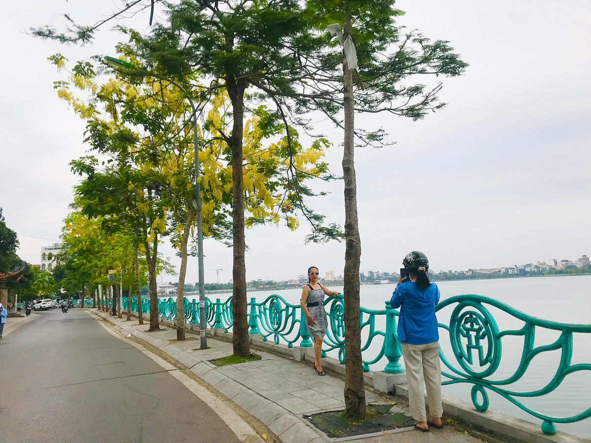 Người dân tranh thủ chụp hình và ngắm sắc hoa đặc trưng của mùa hè.