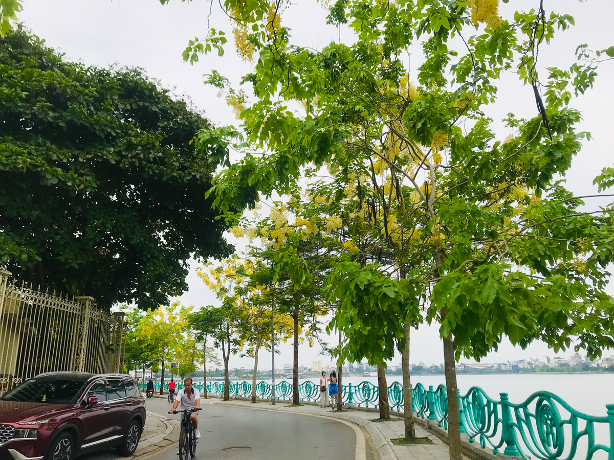 Dọc phố Trích Sài, hồ Tây.