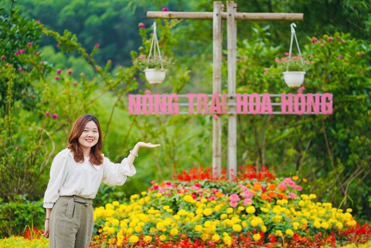 Nguoi tre 'bop bung' chi tieu trong bao gia-Hinh-2