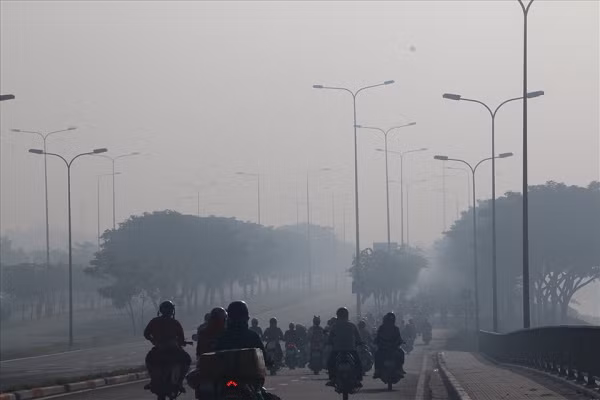 Khi đó, nhiệt độ ban đêm giảm, trời nhiều mây, độ ẩm không khí cao, không có nắng. (Ảnh: Lao động)