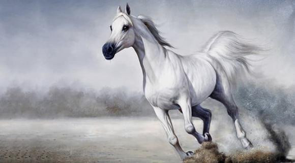 Tuổi Ngọ. Bước vào tháng 7 Âm lịch, ai cũng lo lắng chuyện công việc không như ý.