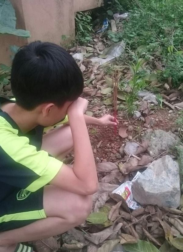 Chi co nhung nguoi nuoi dong vat moi hieu: Ga nuoi hai nam bi chet, cau be mai tang cho tron tinh-Hinh-3