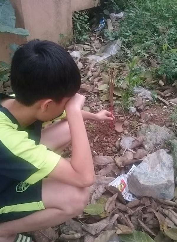 Chi co nhung nguoi nuoi dong vat moi hieu: Ga nuoi hai nam bi chet, cau be mai tang cho tron tinh-Hinh-3