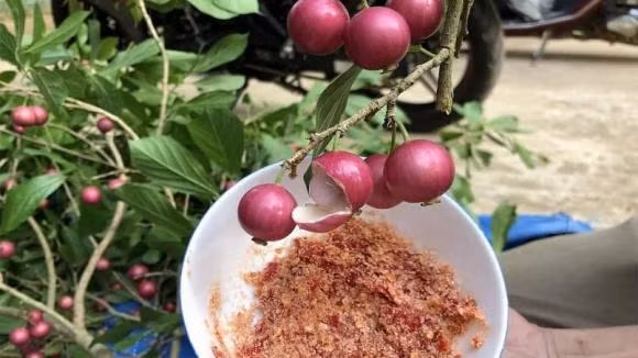 Tại Việt Nam, giá quăng lông rẻ hơn, thường khoảng 60.000 đồng/kg vào năm 2021.(Ảnh: Thương Hiệu và Pháp Luật)