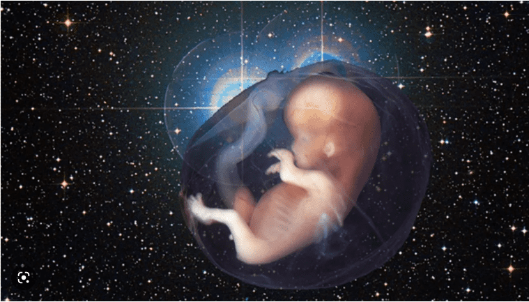 Thụ thai trong không gian chưa được nghiên cứu đầy đủ, đặt ra thách thức lớn đối với mục tiêu định cư ngoài Trái Đất trong tương lai.(Ảnh: innovationorigins)