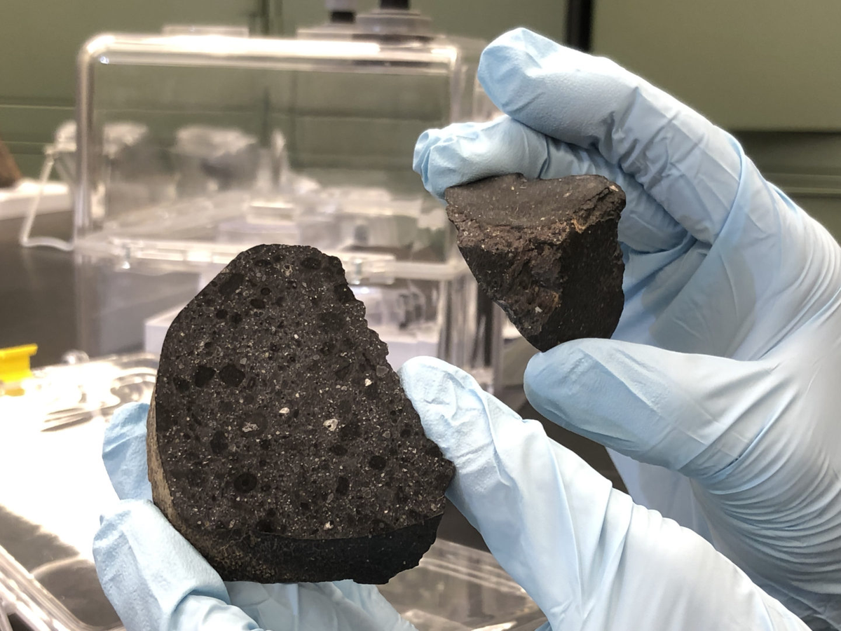 Các nhà khoa học coi Hắc Mỹ Nhân là "kho báu vũ trụ", mở ra nhiều hướng nghiên cứu về hành tinh đỏ.(Ảnh: Buseck Center for Meteorite Studies)