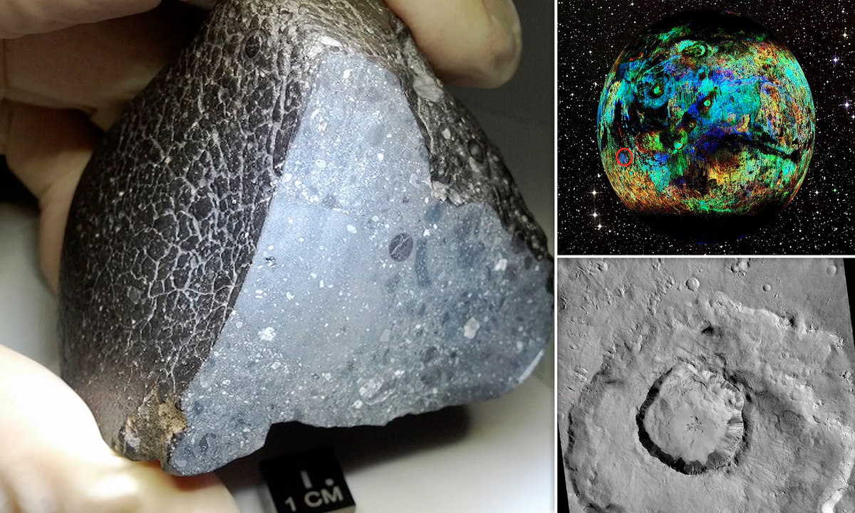 Thiên thạch không chỉ có giá trị sưu tầm mà còn là cánh cửa tìm hiểu lịch sử địa chất và sinh học ngoài Trái đất.(Ảnh: Daily Mail)