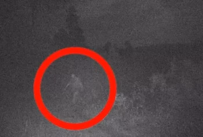 Colton Small đã chia sẻ bức ảnh chụp năm 2020 tại Khu bảo tồn người da đỏ Bắc Cheyenne, Montana, Mỹ, lên Facebook. Bức ảnh cho thấy bóng dáng một sinh vật kỳ dị, to lớn giữa màn đêm, mà Small tin là quái vật Bigfoot. Để chứng minh, ông đăng thêm ảnh từ camera đo ban ngày tại vị trí quái vật xuất hiện.(Ảnh: DNVN)