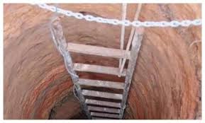 Nhờ sự sáng tạo và quản lý tốt, gia đình ông Lý tiếp tục phát triển kinh doanh bền vững, biến giấc mơ thành nguồn thu nhập ổn định.(Ảnh:Sohu)