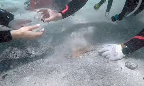 Phần lớn các đồng xu được tìm thấy ở tình trạng gần như nguyên vẹn, chỉ vài đồng bị hư hại nhẹ.(Ảnh: The Brighter Side of News)