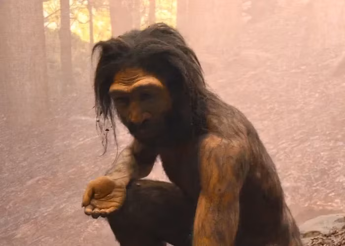 Loài người này ra đời trước Homo sapiens và sống cạnh quần thể Homo sapiens ở Đông Á, có thể từng giao phối với họ.(Ảnh: KuatBaca)