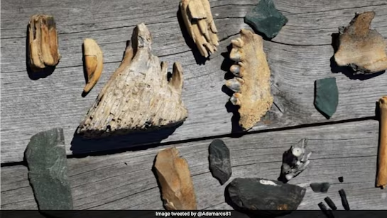 Các nhà khoa học đã phát hiện một loài người bí ẩn, được gọi là Juluren (Homo juluensis) hay "người đầu to", sống ở châu Á suốt 100.000 năm. (Ảnh: NDTV)