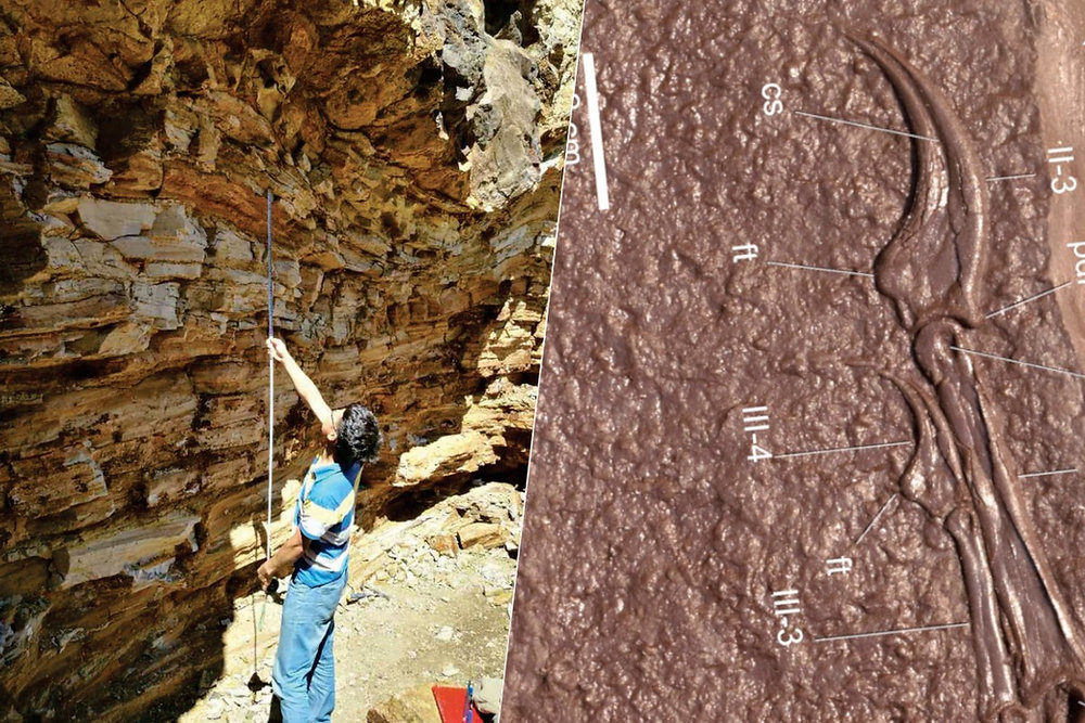 Khu vực Đồi Bồ Câu đã thu hút sự chú ý vì bảo tồn đặc biệt các hóa thạch của Quần xã sinh vật Jehol. Nghiên cứu này được công bố trên tạp chí Cretaceous Research.(Ảnh: Descubriendo China)