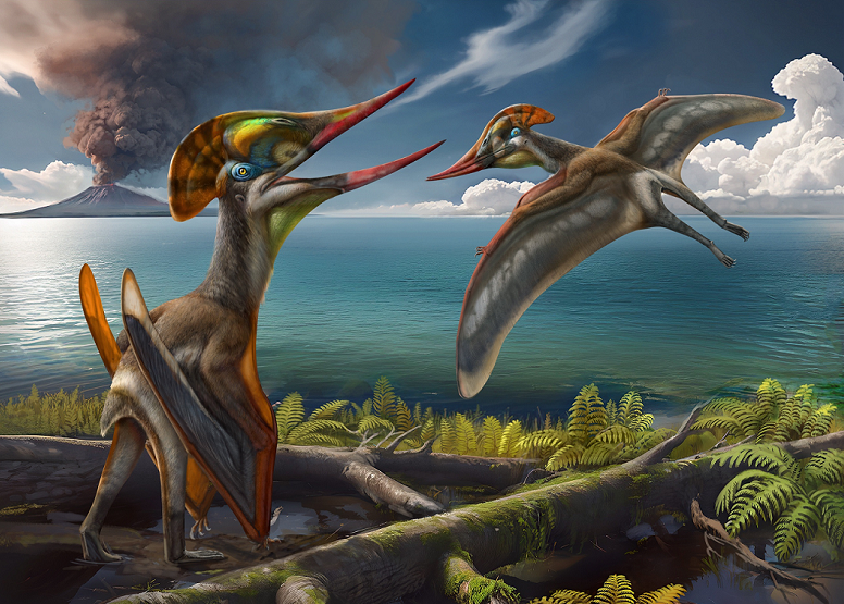 Nghiên cứu về loài quái vật bay này đã được công bố trên tạp chí Scientific Reports.(Ảnh: X.com)