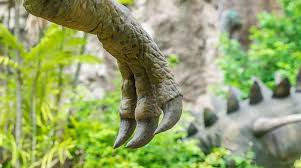 Hóa thạch được tìm thấy tại hệ tầng Long Giang ở Nội Mông, Trung Quốc.(Ảnh: Discover)