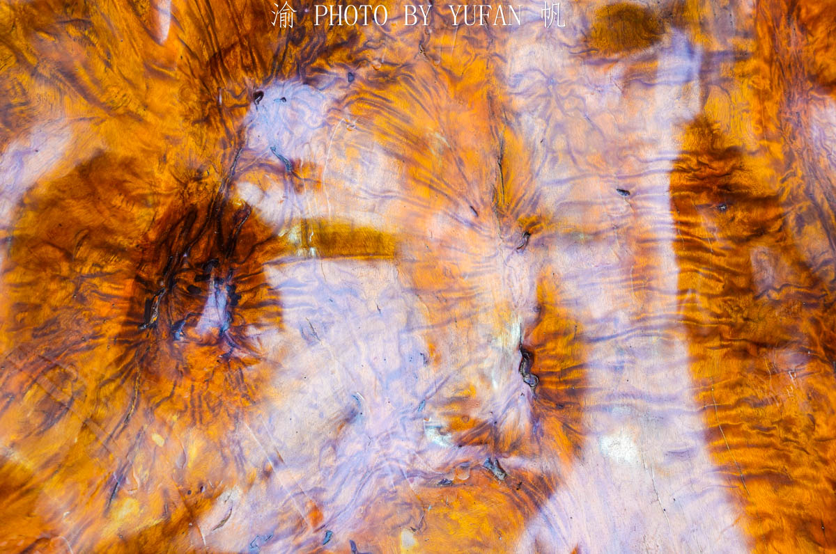 Gỗ Kim tơ nam mộc được mệnh danh là “gỗ hoàng đế,” chỉ dành cho hoàng gia thời phong kiến.(Ảnh: Yufan/min.news)