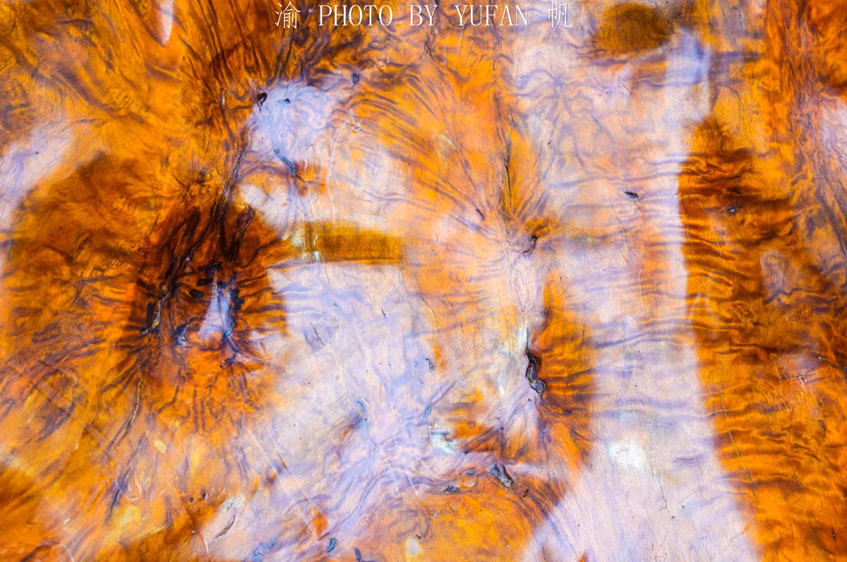 Gỗ Kim tơ nam mộc được mệnh danh là “gỗ hoàng đế,” chỉ dành cho hoàng gia thời phong kiến.(Ảnh: Yufan/min.news)