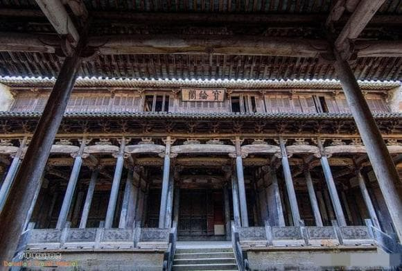 Từ thời nhà Hán, nanmu vàng được dùng để đóng quan tài hoàng gia và xây dựng cung điện, biểu tượng cho địa vị cao quý.(Ảnh: DNVN)