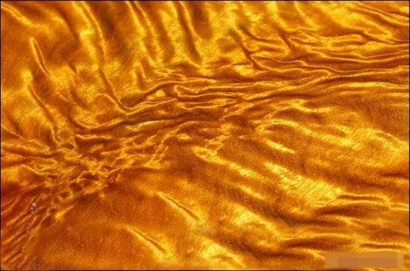 Nanmu vàng, còn gọi là "Gỗ Hoàng đế", là loại gỗ cực kỳ quý hiếm, có giá trị lên tới 100 triệu nhân dân tệ (~351 tỷ VNĐ) mỗi cây nhờ đặc tính vượt trội về chất lượng, màu sắc và độ bền. (Ảnh: DNVN)