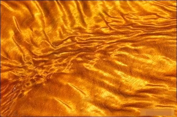 Nanmu vàng, còn gọi là "Gỗ Hoàng đế", là loại gỗ cực kỳ quý hiếm, có giá trị lên tới 100 triệu nhân dân tệ (~351 tỷ VNĐ) mỗi cây nhờ đặc tính vượt trội về chất lượng, màu sắc và độ bền. (Ảnh: DNVN)