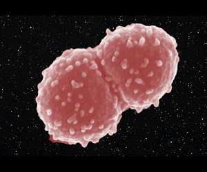 Nghiên cứu từ Đại học Northwestern và Đại học Dịch vụ Đồng phục cho thấy bức xạ không chỉ phá hủy DNA mà còn tổn hại hệ protein thiết yếu, khiến tế bào không thể hoạt động dù DNA nguyên vẹn.(Ảnh: Space Daily)