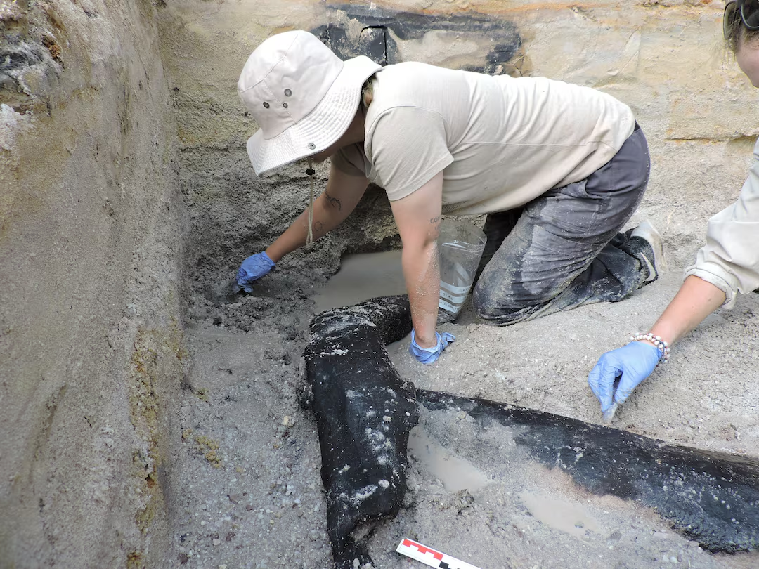 Hai khúc gỗ được chế tác đặc biệt: một khúc có rãnh khớp hoàn hảo với khúc còn lại, cho thấy sự liên kết chắc chắn và kỹ thuật tiên tiến.(Ảnh: Reuters)