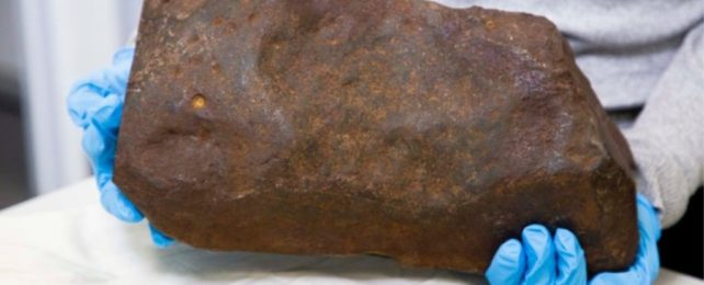 Năm 2015, David Hole phát hiện một khối đá bất thường tại công viên Maryborough, Úc, và tưởng nhầm là vàng vì trọng lượng lớn và màu sắc đặc biệt. (Ảnh:ScienceAlert)