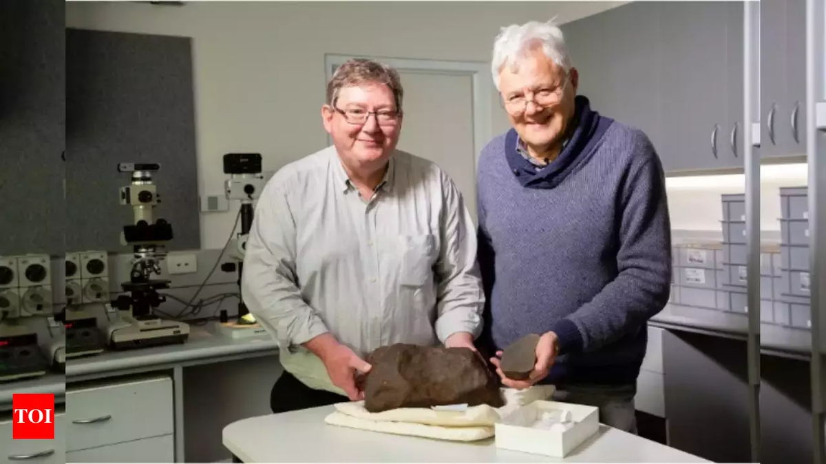 Maryborough được ước tính đã nằm trên Trái Đất từ 100-1.000 năm, có nguồn gốc từ vành đai tiểu hành tinh giữa sao Hỏa và sao Mộc.(Ảnh:Times of India)