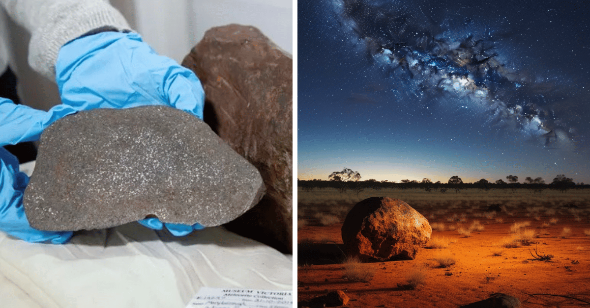 Bề mặt thiên thạch có rãnh đặc trưng, do quá trình nóng chảy khi xuyên qua khí quyển Trái Đất.(Ảnh:Rock Seeker)