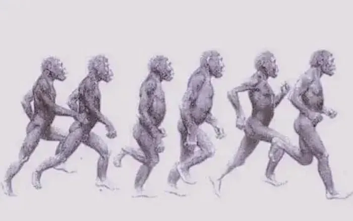 Sau khi mất lông, da người tiếp xúc trực tiếp với ánh nắng, gây ra nguy cơ tổn thương da, nhưng lợi ích tản nhiệt có thể đã vượt qua những rủi ro này.(Ảnh: DNVN)