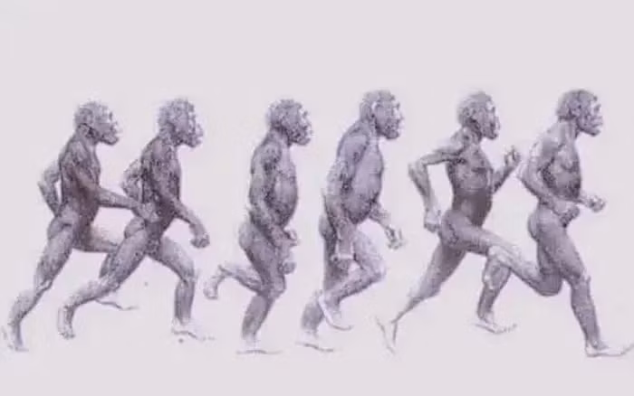 Sau khi mất lông, da người tiếp xúc trực tiếp với ánh nắng, gây ra nguy cơ tổn thương da, nhưng lợi ích tản nhiệt có thể đã vượt qua những rủi ro này.(Ảnh: DNVN)