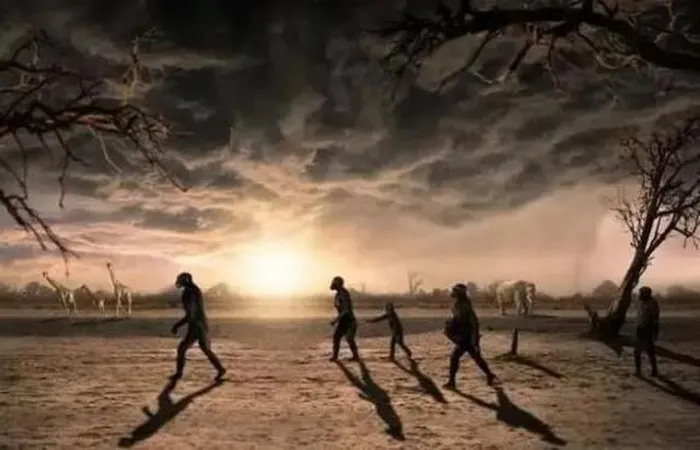 Mặc dù hiện tượng thoái hóa lông độc đáo này chưa thấy ở các loài động vật khác, nhưng nó phù hợp với sự thích nghi của tổ tiên loài người với môi trường sống.(Ảnh: DNVN)