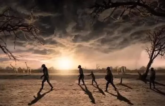 Mặc dù hiện tượng thoái hóa lông độc đáo này chưa thấy ở các loài động vật khác, nhưng nó phù hợp với sự thích nghi của tổ tiên loài người với môi trường sống.(Ảnh: DNVN)