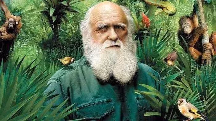 Giả thuyết vượn nước cho rằng tổ tiên loài người từng sống dưới nước trong một giai đoạn dài, dẫn đến thoái hóa lông, nhưng thiếu bằng chứng vì loài linh trưởng thời kỳ đầu không có lớp mỡ cách nhiệt.(Ảnh: DNVN)