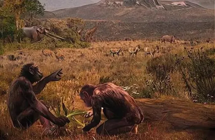 Các nhà khoa học đã đưa ra nhiều giả thuyết để giải thích hiện tượng thoái hóa lông của con người trong quá trình tiến hóa.(Ảnh: DNVN)