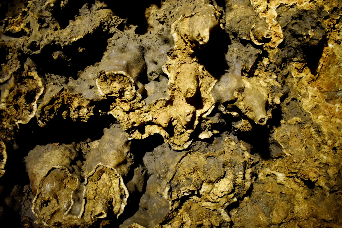 Những dạng sống như vậy cung cấp manh mối tìm kiếm sự sống ngoài Trái Đất, ở các hành tinh với điều kiện tương tự. Sự bền bỉ của "nấm khoáng vàng" cho thấy tiềm năng phát triển công nghệ sinh học trong điều kiện khắc nghiệt.(Ảnh: PixaHive)