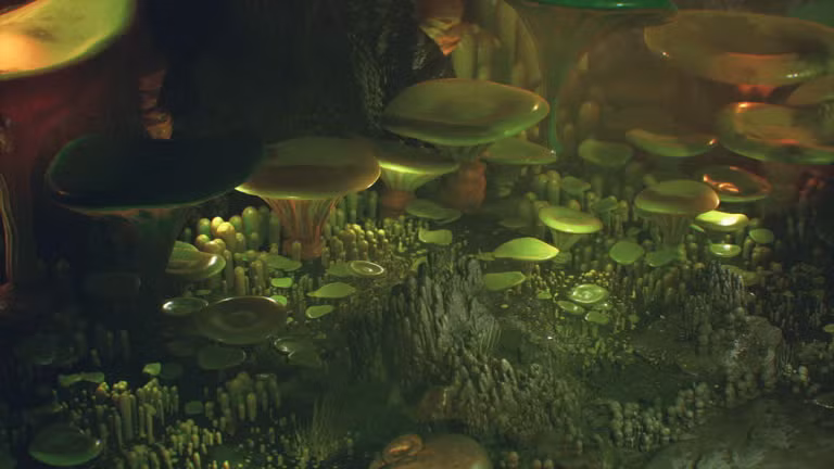 Nghiên cứu về chúng giúp hiểu rõ hơn về nguồn gốc và khả năng tiến hóa của sự sống trong các môi trường cực đoan.(Ảnh: Getty Images)