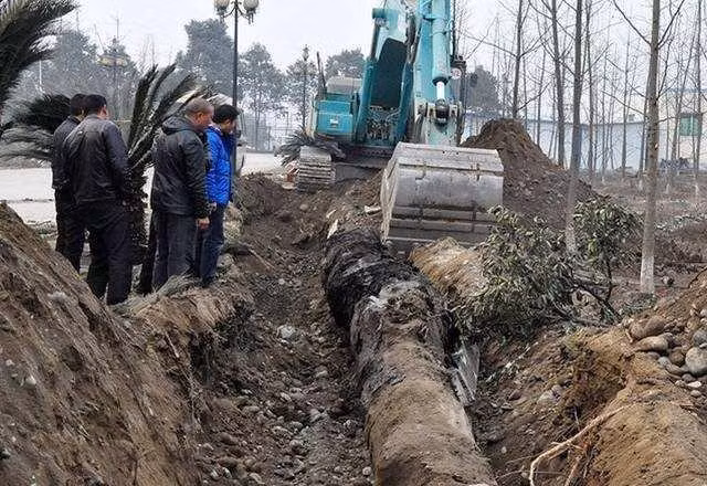 Gỗ âm trầm hình thành từ những cây cổ thụ bị vùi lấp hàng nghìn năm, trải qua quá trình cacbon hóa tự nhiên, tạo nên cấu trúc độc đáo và giá trị cao. (Ảnh: Nhịp sống thị trường)