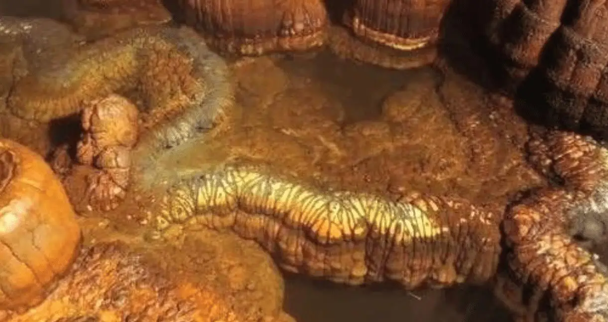 Nhóm chuyên gia đã xác định khối đá dài khoảng 13 m với hình dáng giống một con rồng và các hoa văn giống như vảy rồng. (Ảnh: Sohu)