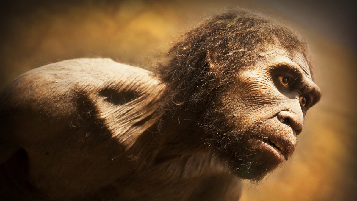 Nhiều đặc điểm sinh học của con người, như hàm dưới, có nguồn gốc từ cá và được cải tiến qua quá trình tiến hóa.(Ảnh: Apologetics Press)