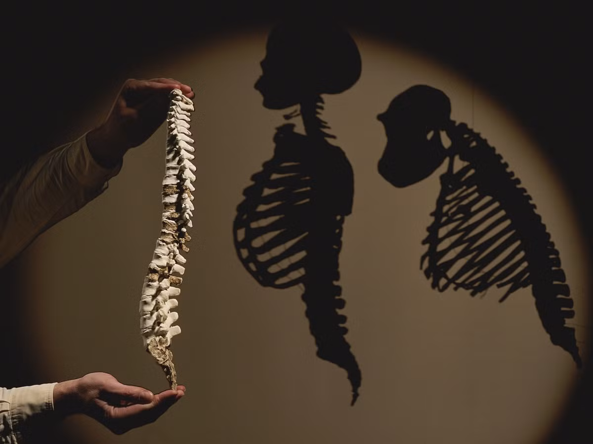 Nghiên cứu này mở ra góc nhìn mới về nguồn gốc loài người và tiến trình tiến hóa sự sống trên Trái Đất.(Ảnh: National Geographic)